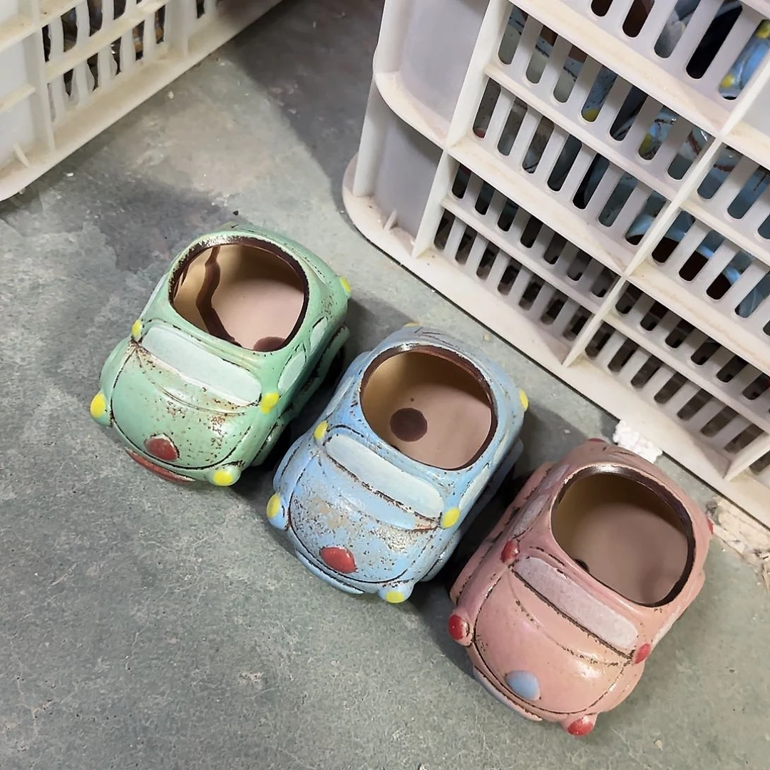 3个福利局绿植多肉盆［凑9元包邮24小时发］