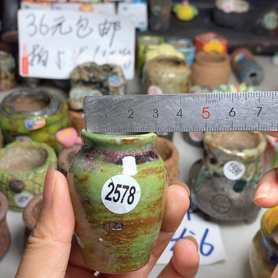 拍5送一个小礼物