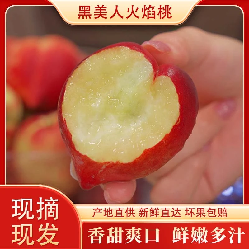 【顺丰】黑美人火焰桃新鲜应季毛桃甜嫩多汁红宝石水蜜桃精选3斤起