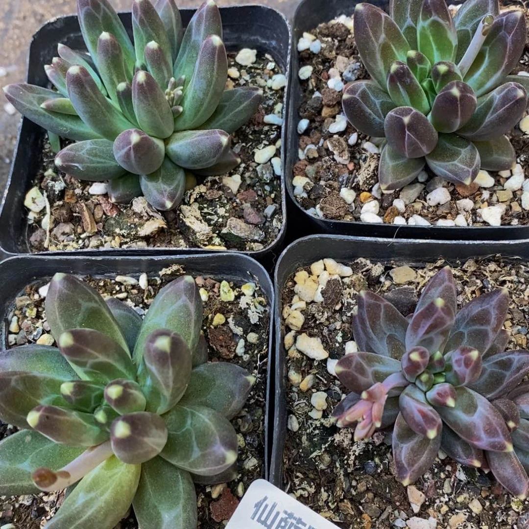 042的人和我一起看