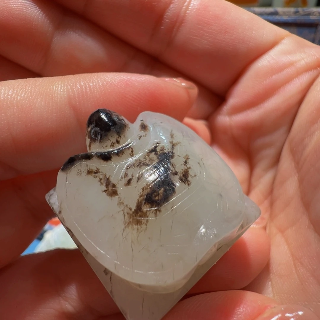 z***w勒子勒子勒子勒子