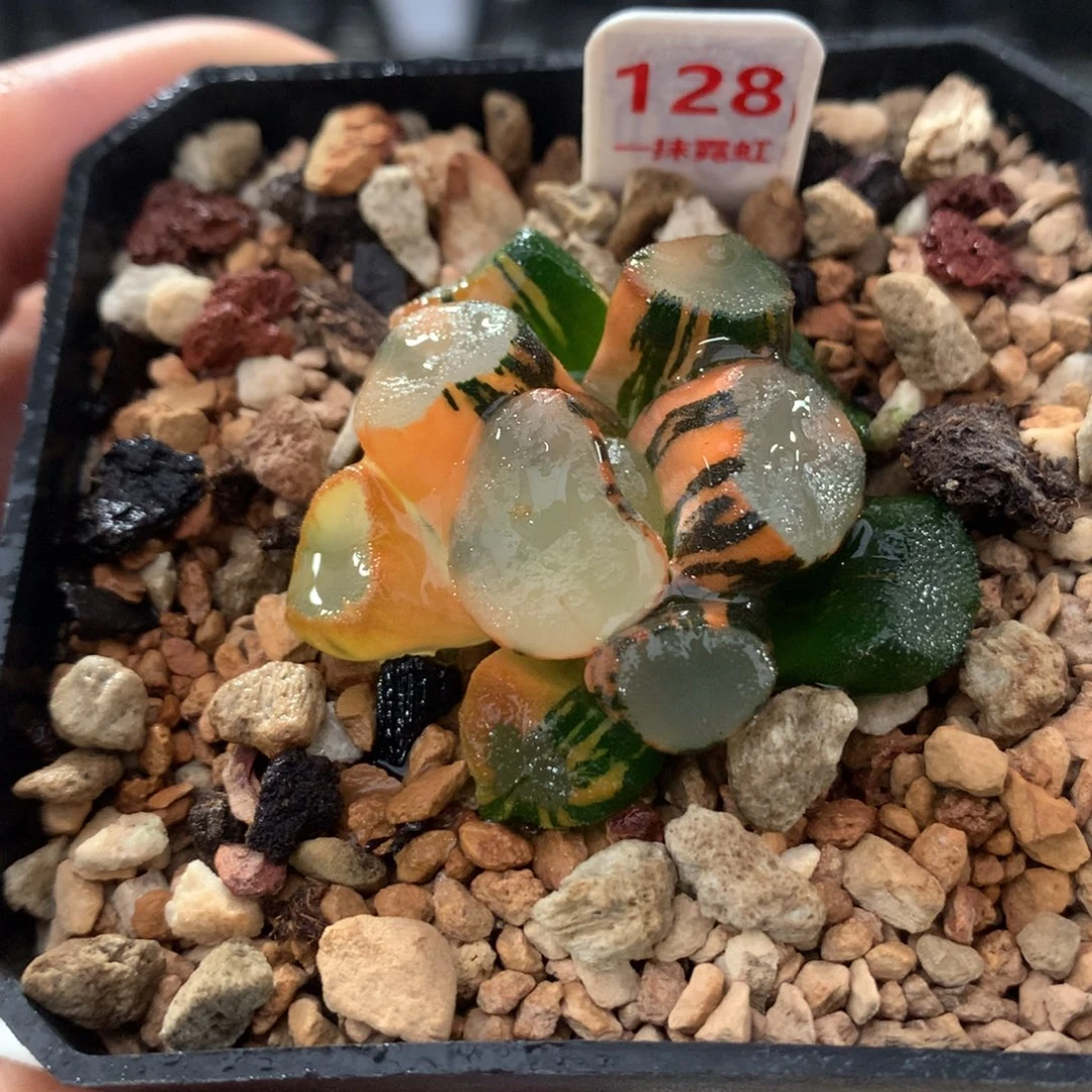 以实际为准128空门