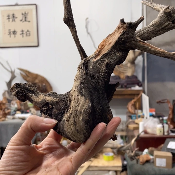 云*我们都是好孩子呀