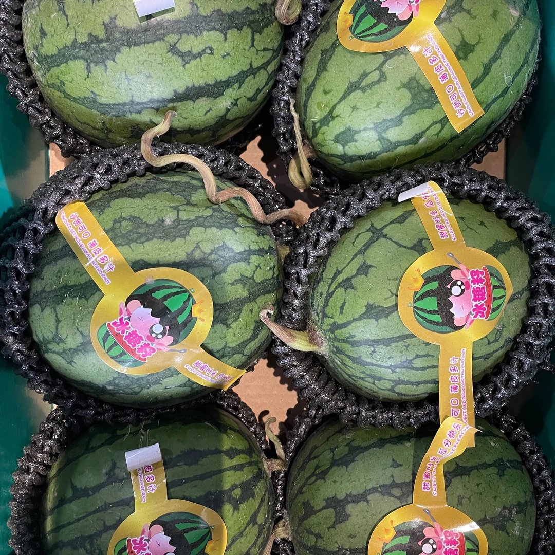 小糖丸西瓜*1个｜小小个，可以手剥西瓜同城配冰糖籽