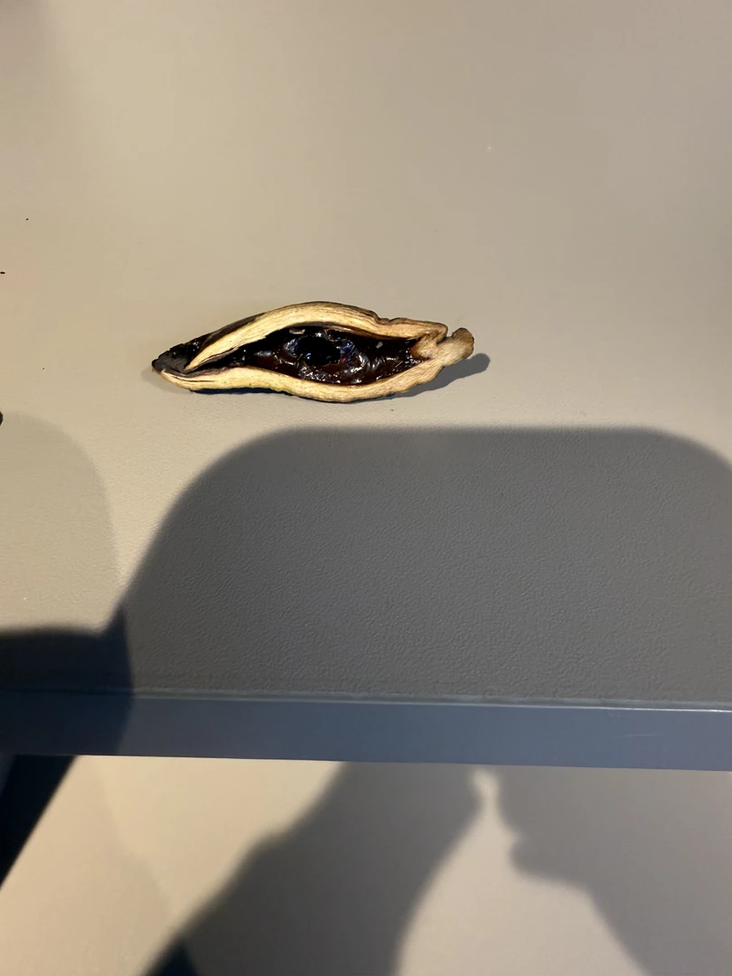 小樟榔樟榔坚果和成口味两袋装