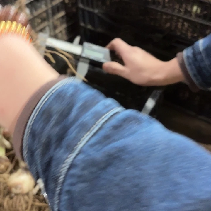 霓见星直径5公分以上自然球