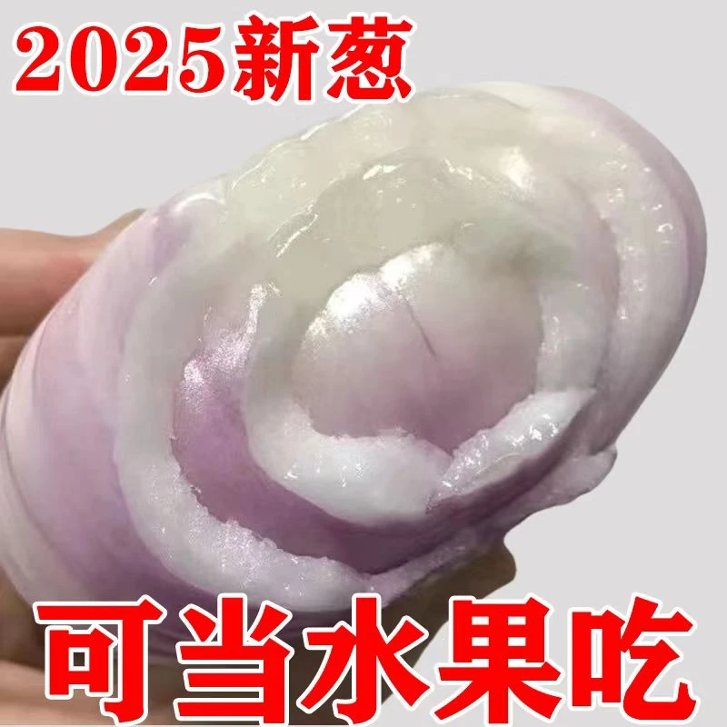 坏果包赔）二月红水果洋葱扁洋葱圆葱可以生吃凉拌微辣微甜5斤装