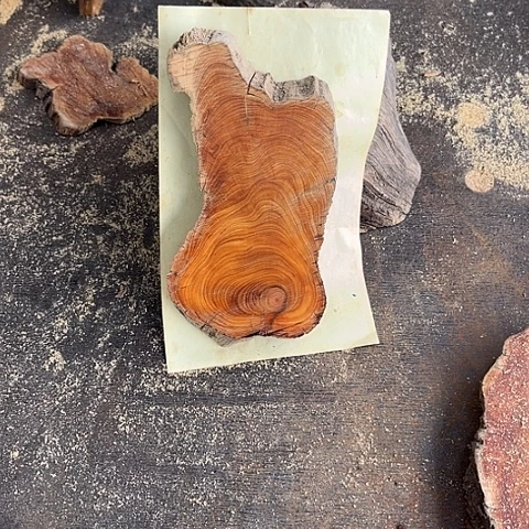 柏木（崖柏）闪购002