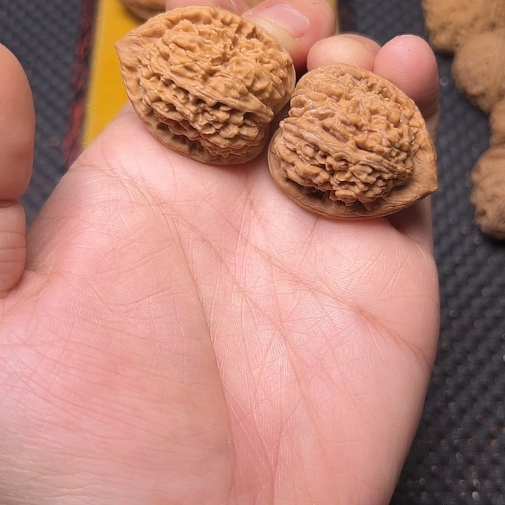 吊坠文玩核桃蚂蚁王