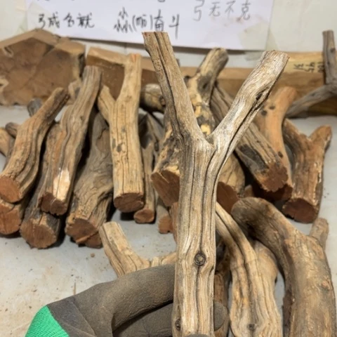 大果紫檀（缅甸花梨）君**下