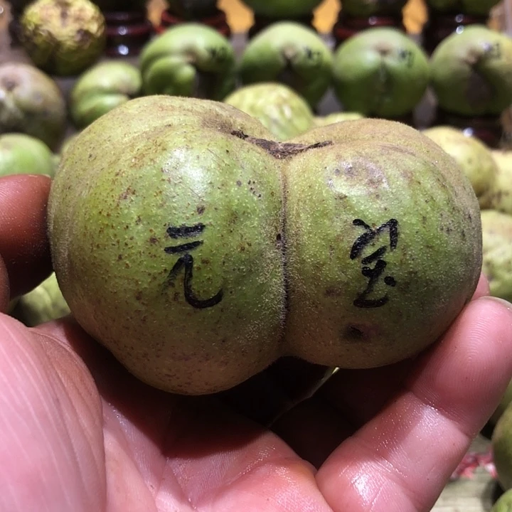 吊坠桃核核桃核桃