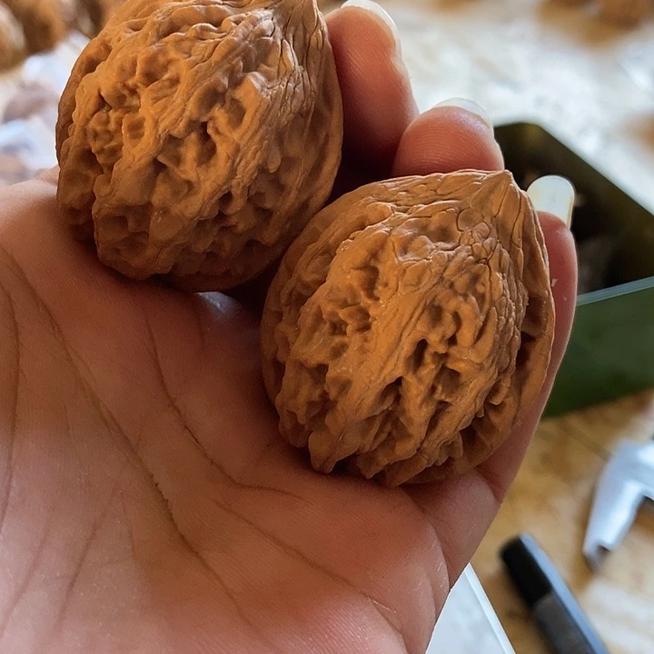 风***2大叶紫檀（黑酸枝木类）全品无修无药39大古石