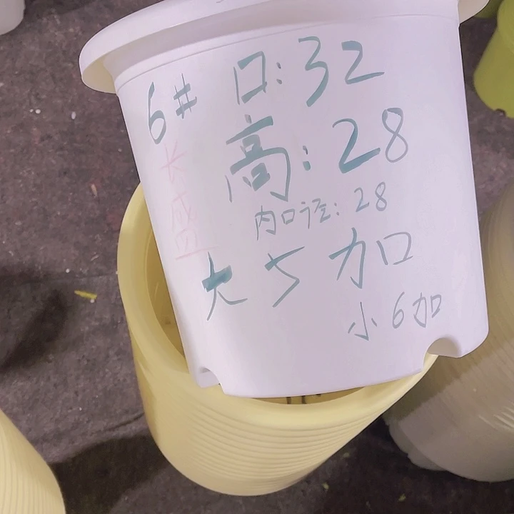 树脂特价福利长盛6号黄色3个