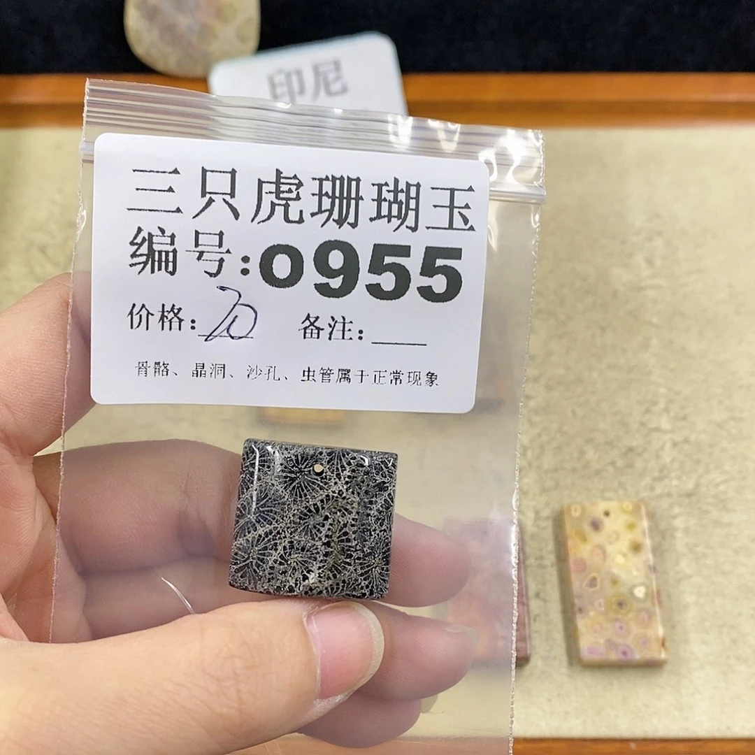 硅化珊瑚（珊瑚玉）1未镶嵌铁***妈