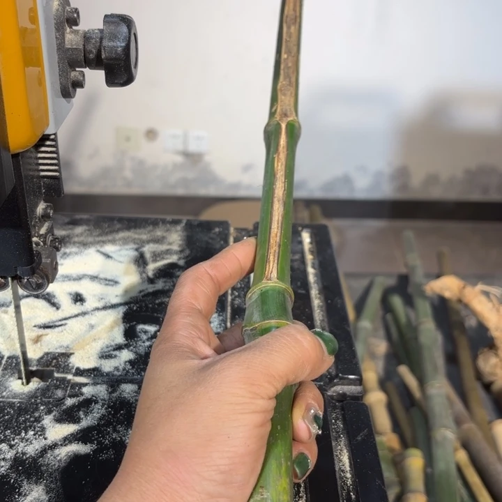 竹竹****宁实心竹竹竹竹竹竹竹