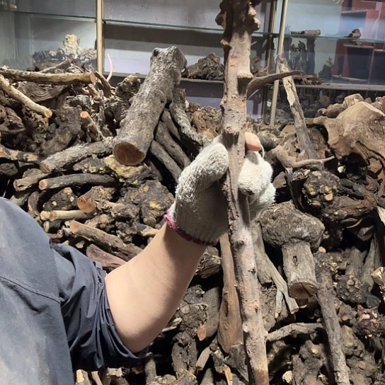 香榧木阿**漂火琉璃的故事毛料