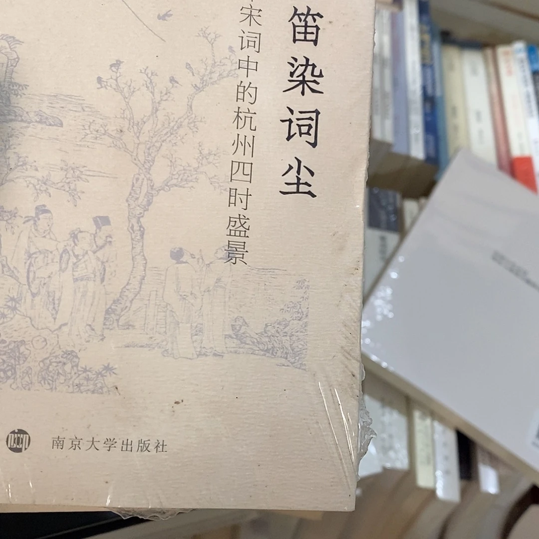 梅边吹迪宋词胜景