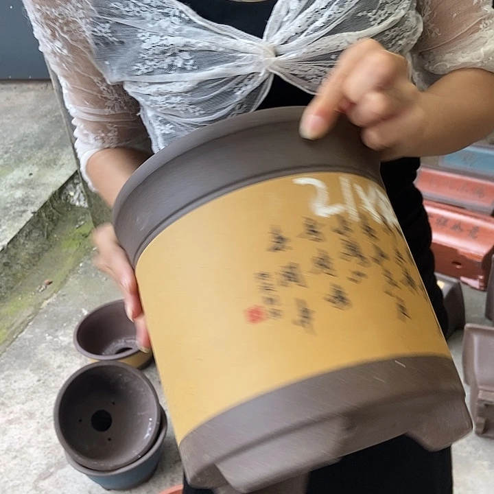 21花盆花盆花盆花盆花盆