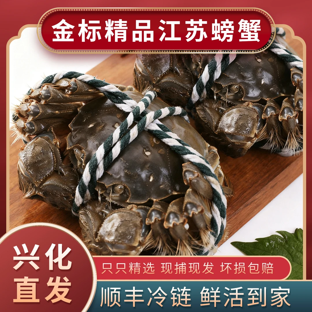 中通云配 河蟹公/母蟹2两以上/只   10只  冷链运输