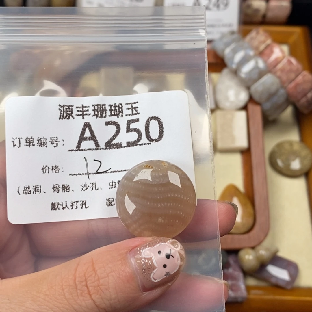 J***r未镶嵌颈饰硅化玉