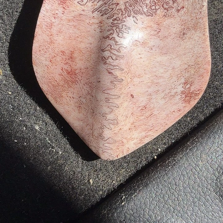 拾***萧养殖鹿头骨制作三界牌