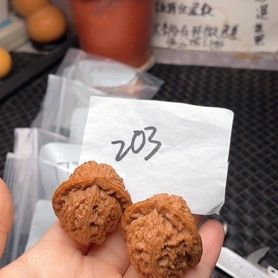 365尺寸打底无修白狮子