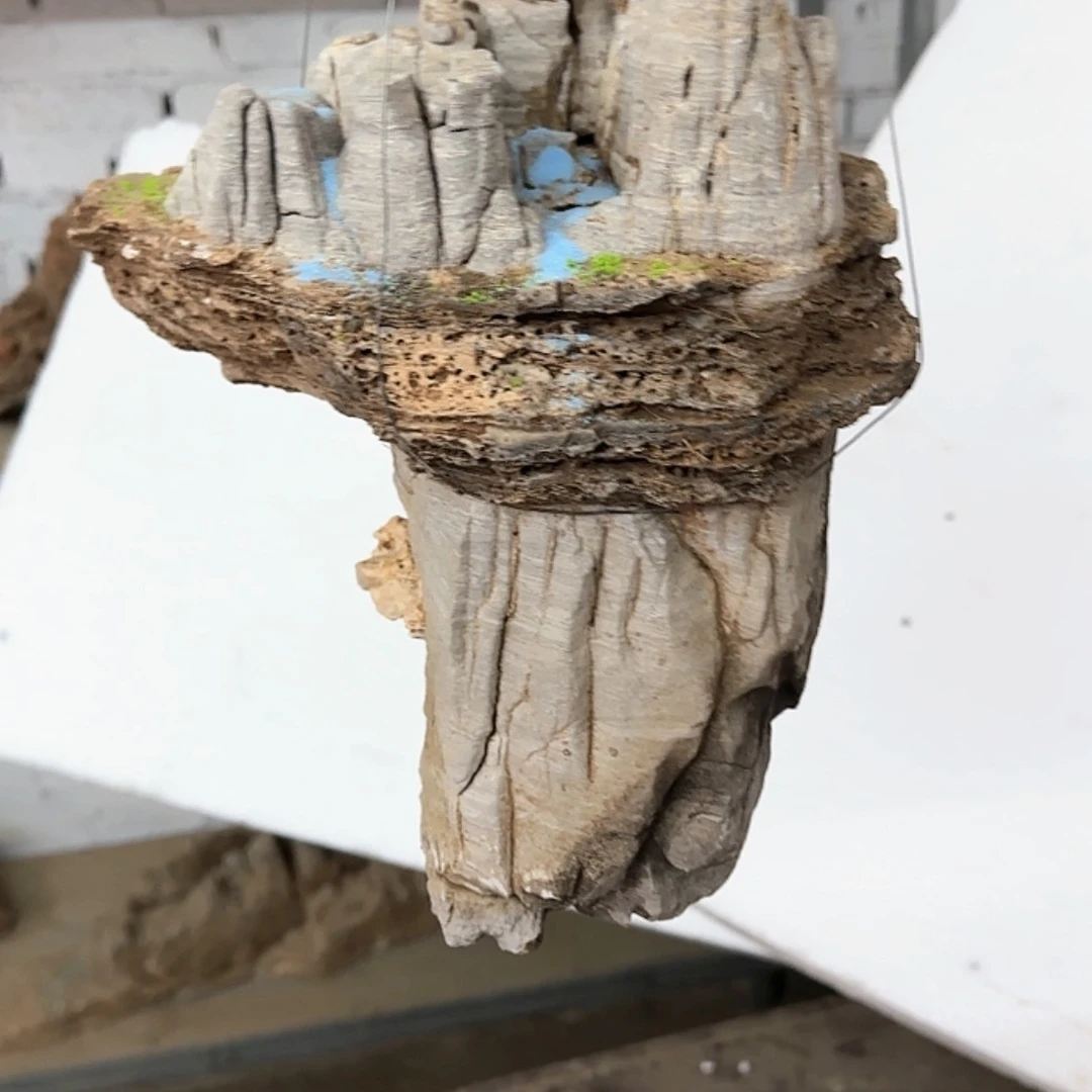 【闪购商品】香榧木观在一起了的感觉真的很喜欢我就好了