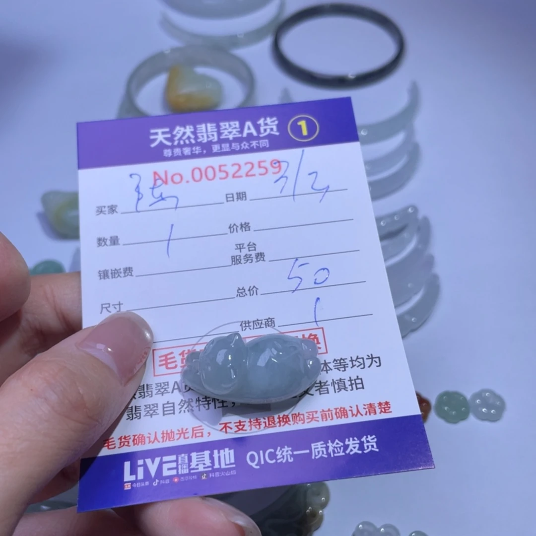 翡翠颈饰未镶嵌陈*醒
