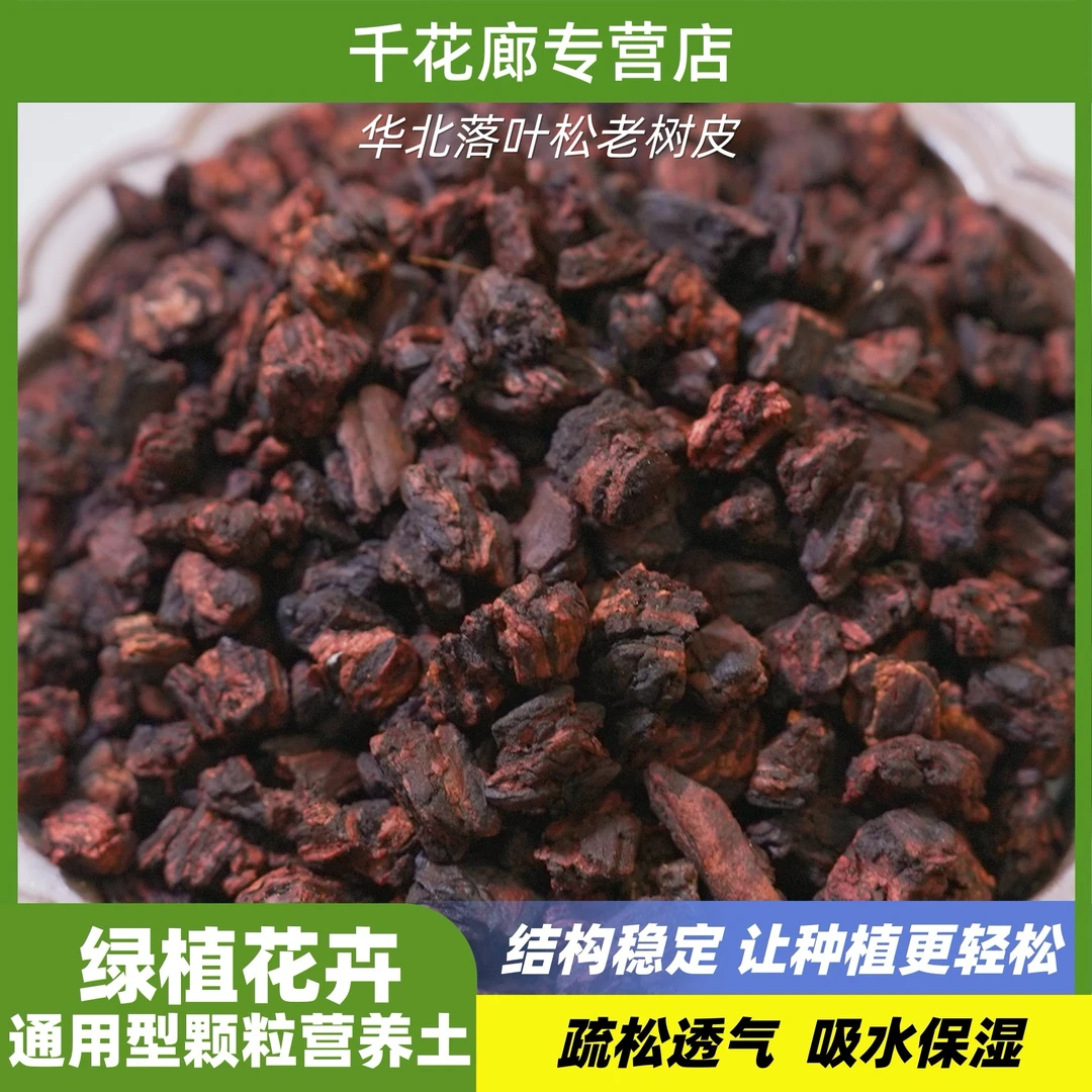 华北老松树皮养兰花蝴蝶兰土壤花店君子兰、兰科专用营养土防烂根