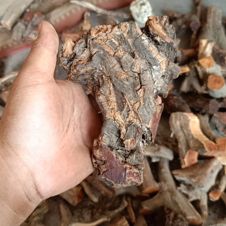 心***往柏木火琉璃原叉原叉
