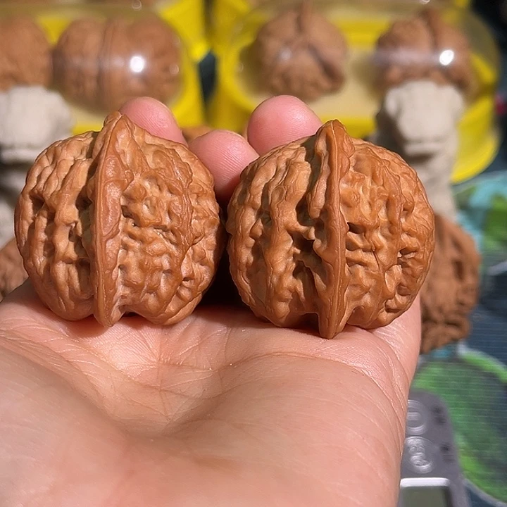 天***空核桃太行雪狮红皮老树