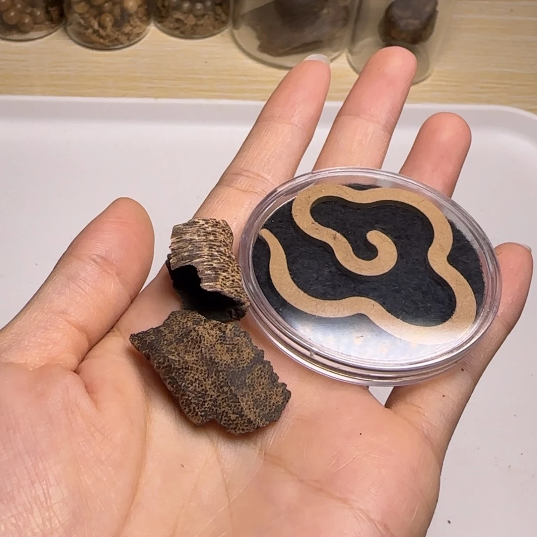 海南沉水厚肉鸡母虫漏2克