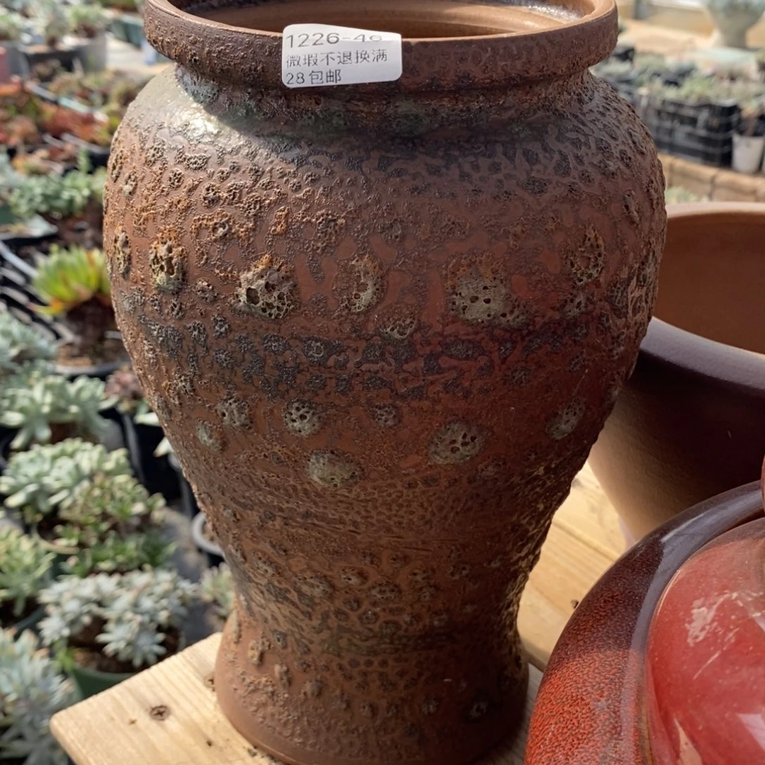 46号花盆内13高27