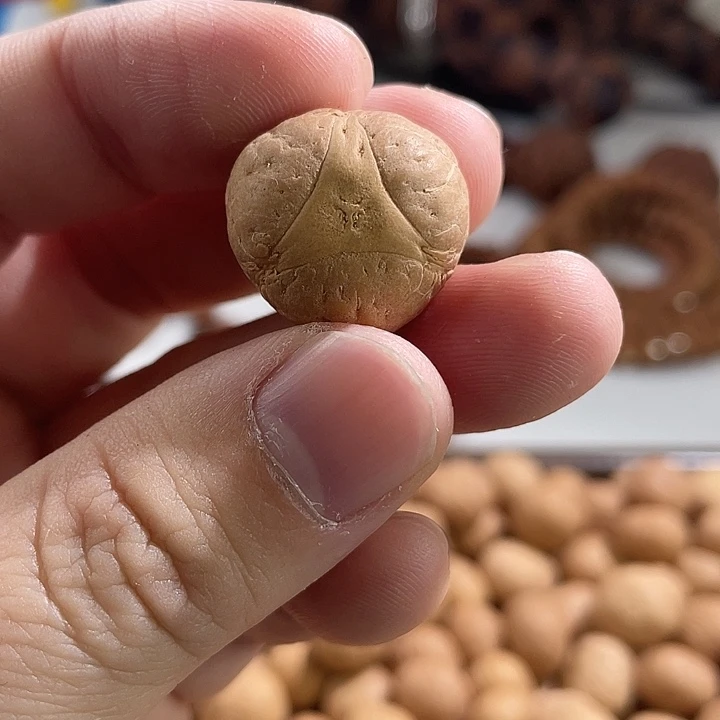 手串凤眼菩提尼泊尔小fy