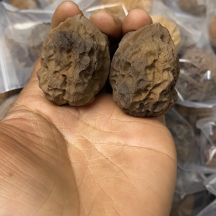 核桃云南铁核桃基地32