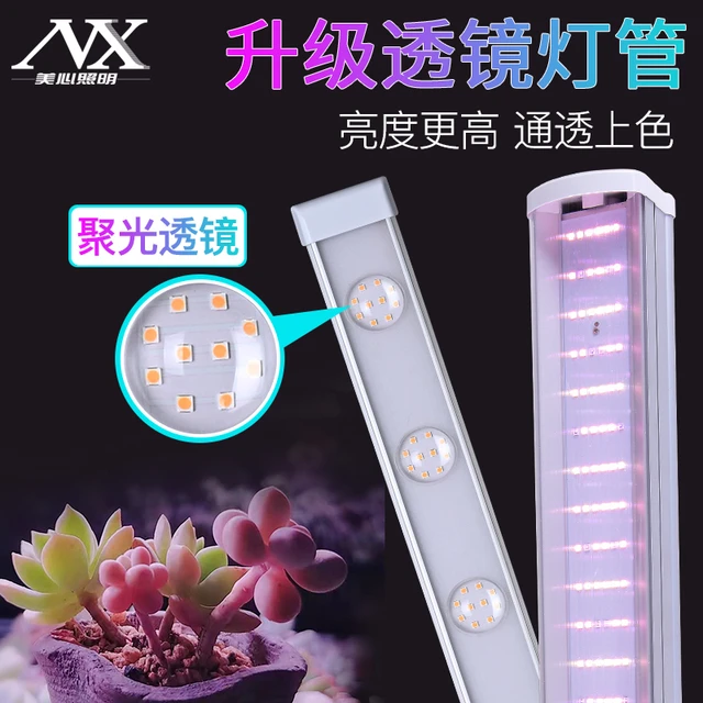 红太氧植物灯生长灯光谱仿太阳室内家用花卉光照上色多肉补光灯
