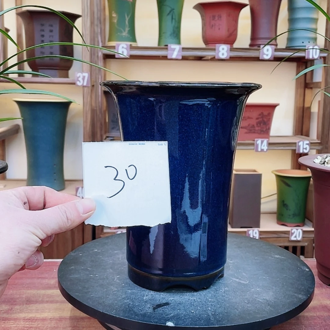 【闪购商品】紫砂花盆清**月兰花643464884976464667