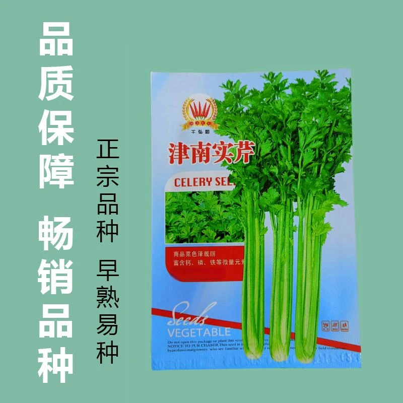 优选津南实芹种子  阳台盆栽庭院四季蔬菜种籽农家小院播种大全