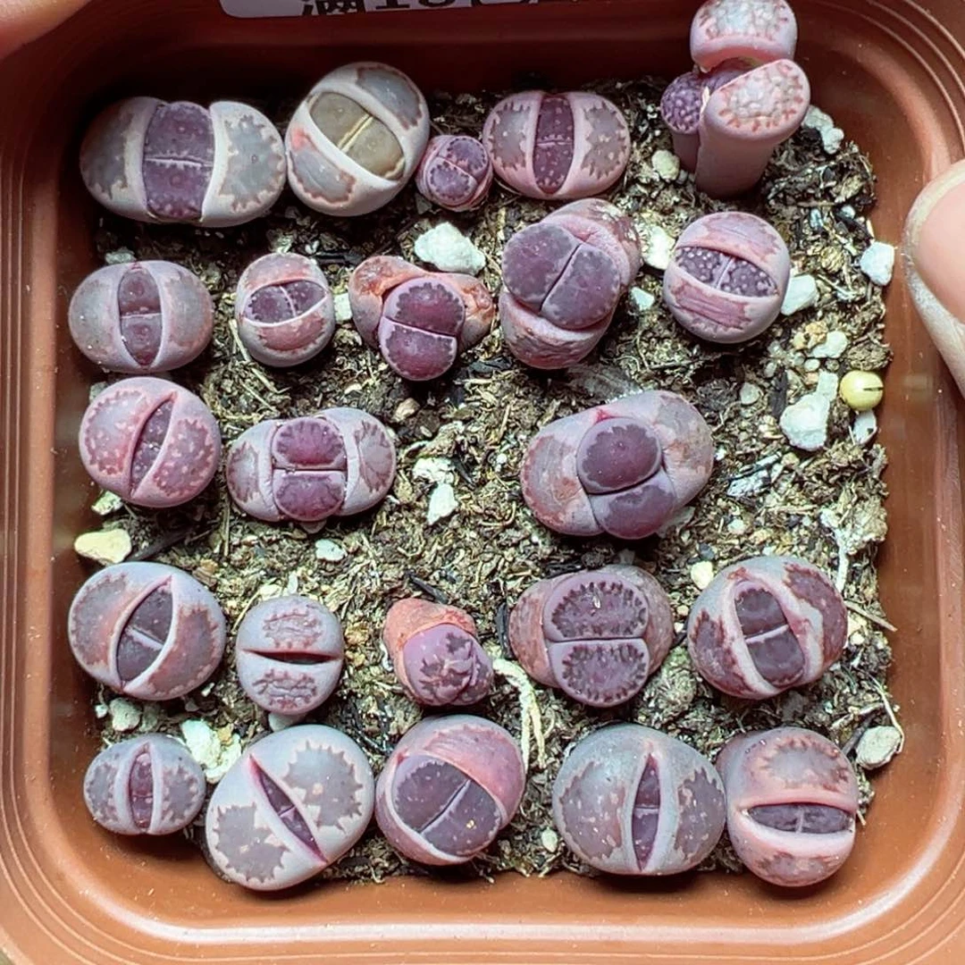 【闪购商品】1343……