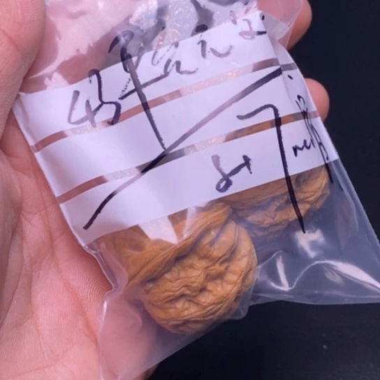 【闪购商品】吊坠文玩核桃保***.