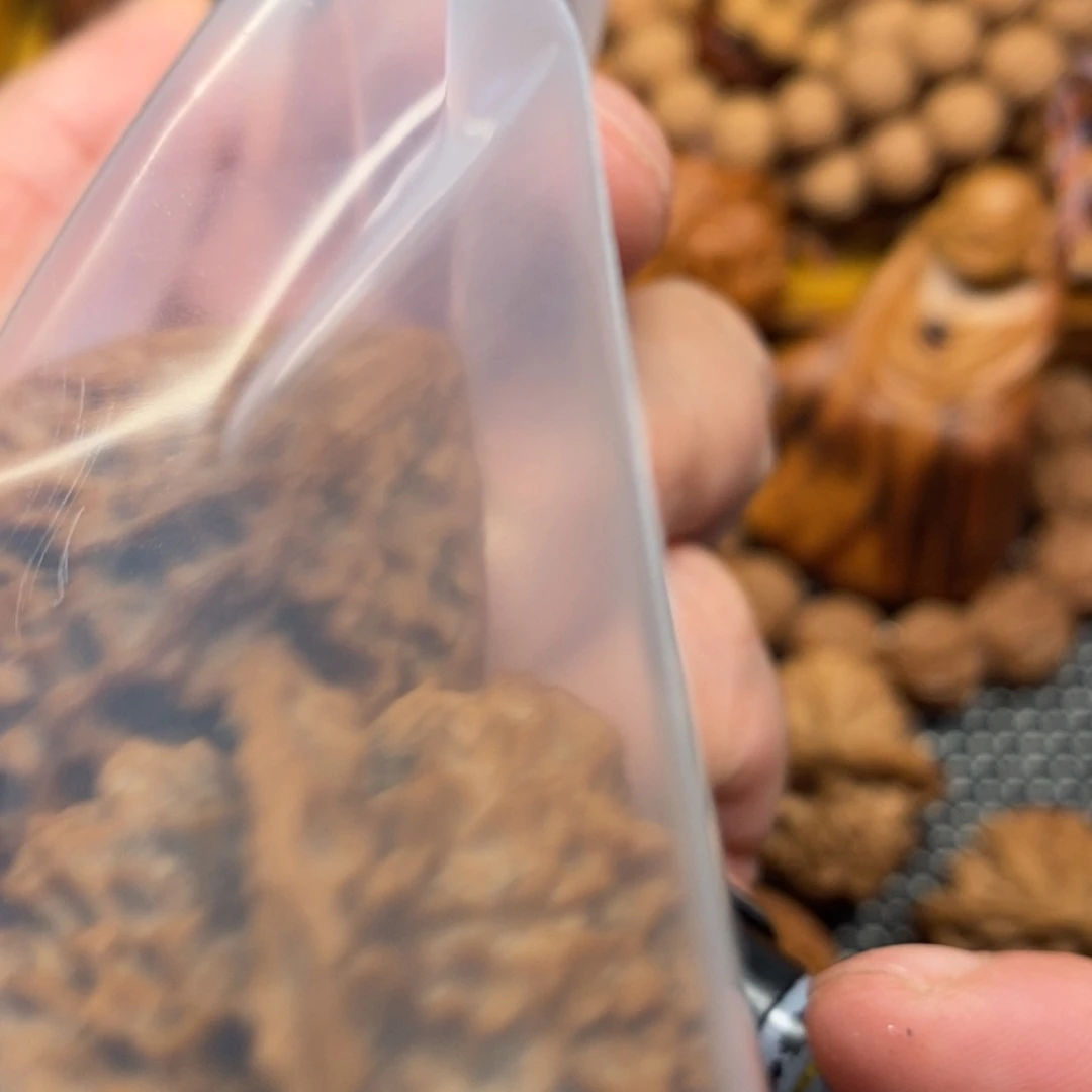 降***度秦岭森林中发现两条