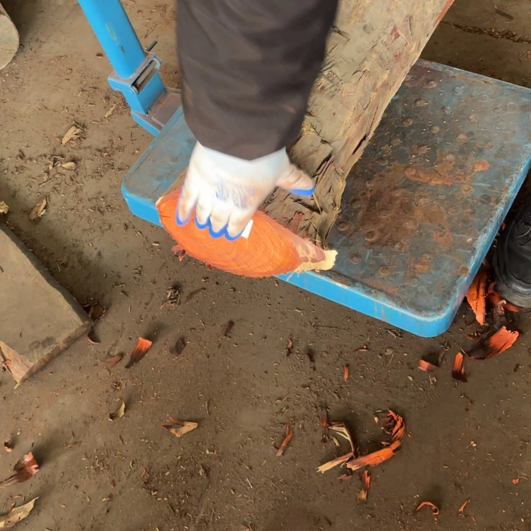 一物一拍血檀编码509