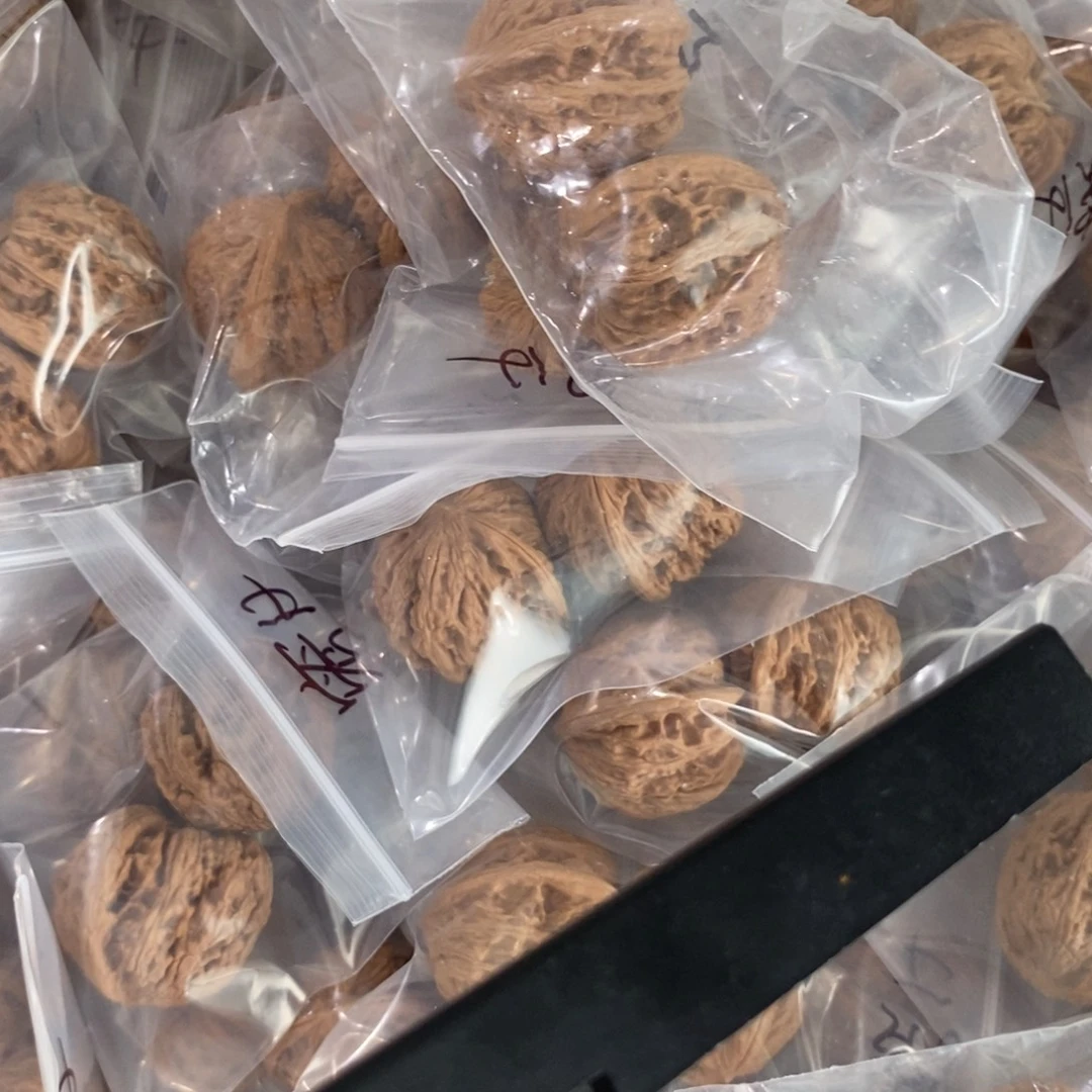 文玩核桃吊坠密纹