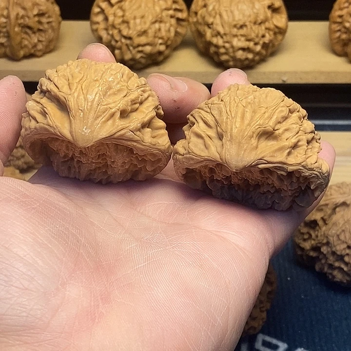 核桃文玩核桃48全品蛇头