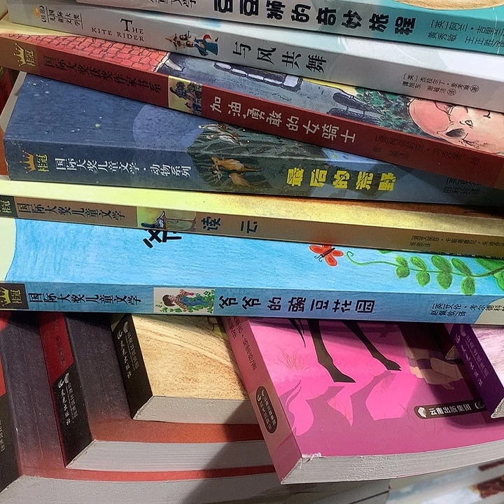 豆豆，与风，女骑士，荒野，读云，豌豆