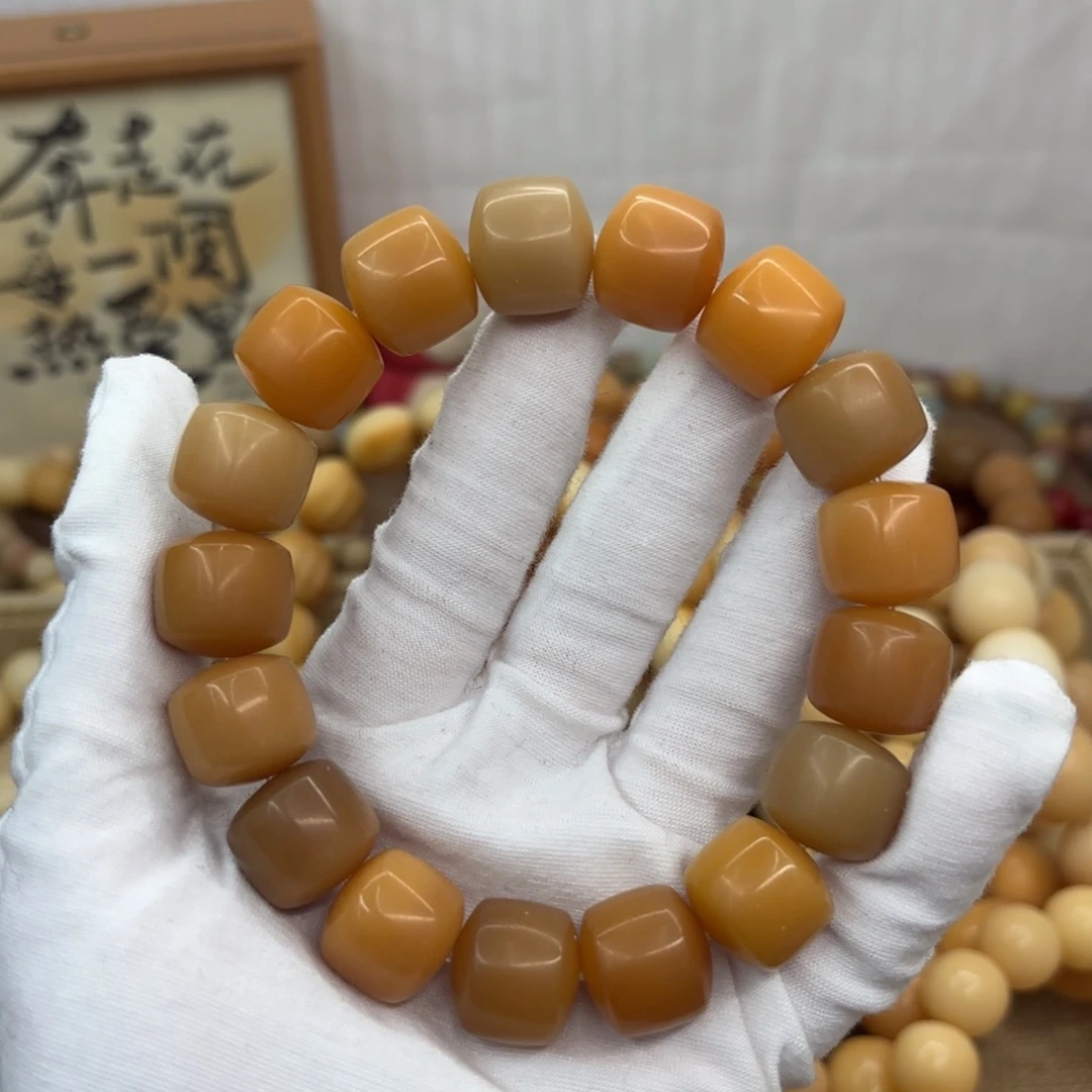 吊坠菩提根/象牙果16干磨瑕疵落地果金轮013