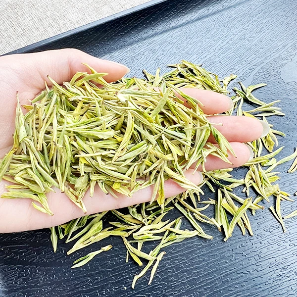 2025年新茶头春头采级白奶香正宗原产地SJ1500 125g/250g/500g