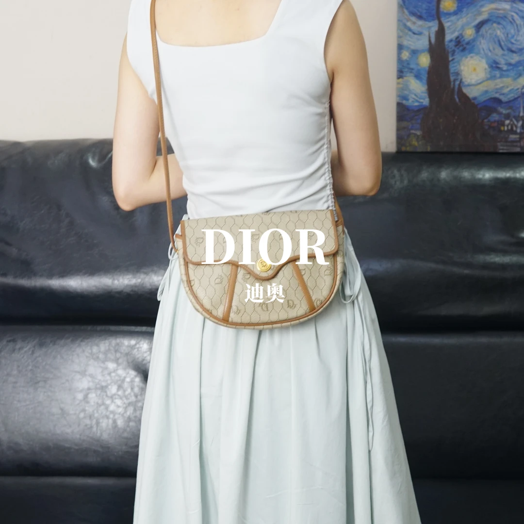 95新 DIOR/迪奥 老花斜挎包/AR06515505/5505