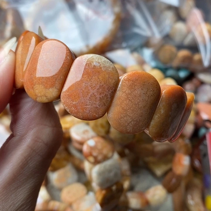 颖***宝颈饰未镶嵌硅化珊瑚（珊瑚玉）