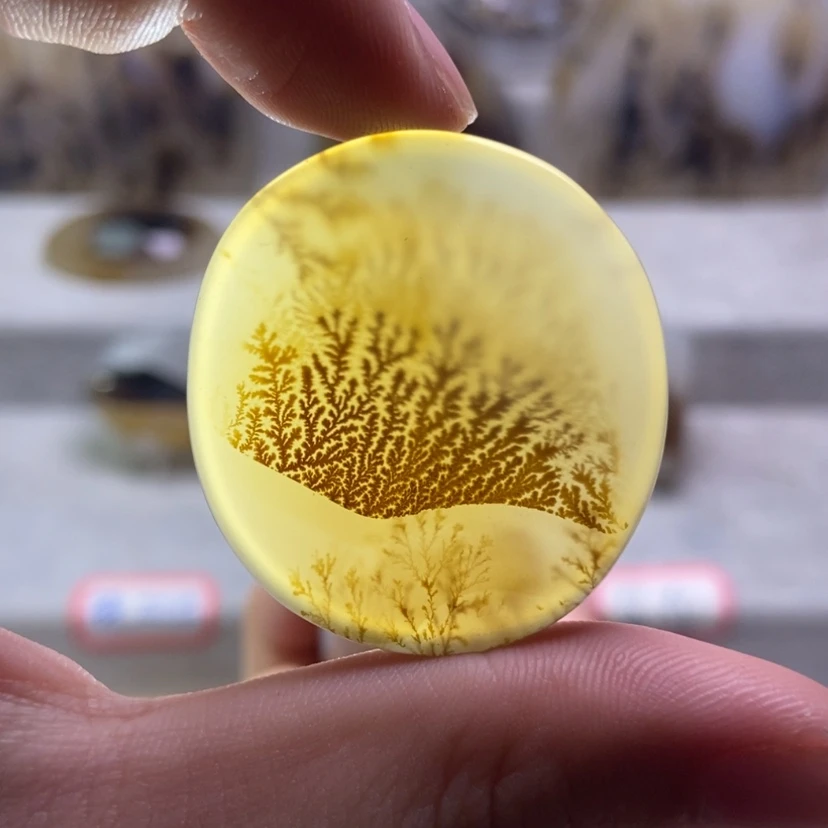 【闪购商品】未镶嵌玛瑙/玉髓珠宝奇石